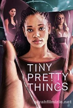Tiny Pretty Things