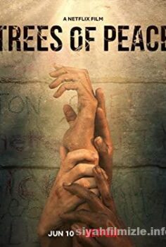Trees of Peace