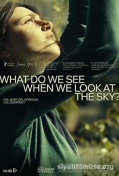What Do We See When We Look at the Sky?