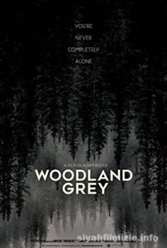 Woodland Grey
